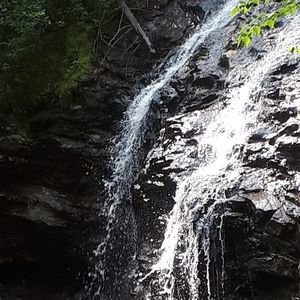 Meet your Posher, Wendy